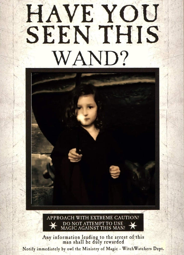 The Wizarding World Gets PoE